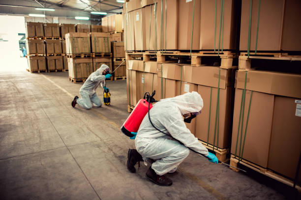 Trusted Piqua, OH Pest Control Experts