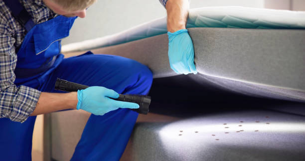 Pest Prevention Services in Piqua, OH