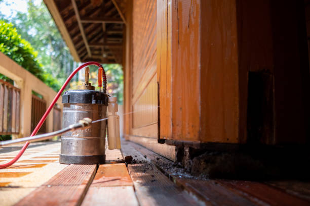 Best Termite Control Services  in Piqua, OH